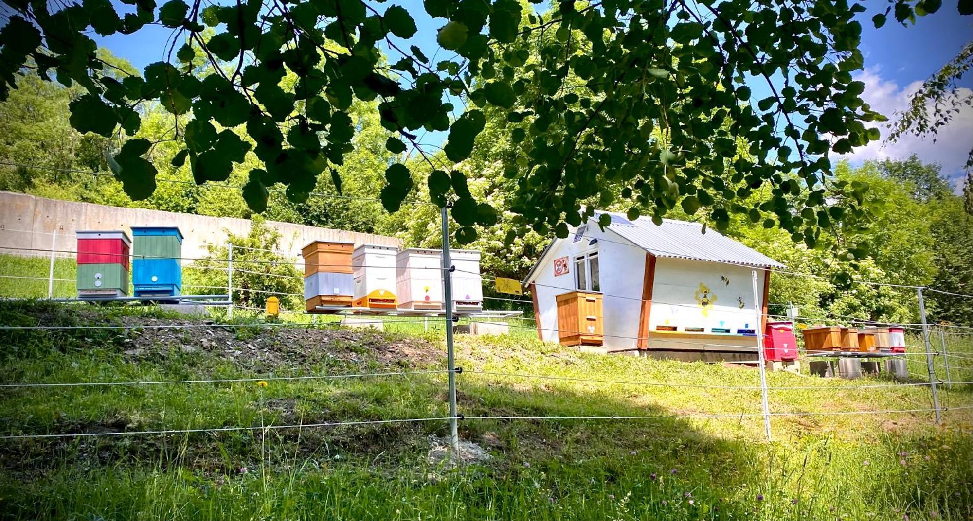 Apartmany Svrcinky Liptovský Mikuláš Dış mekan fotoğraf